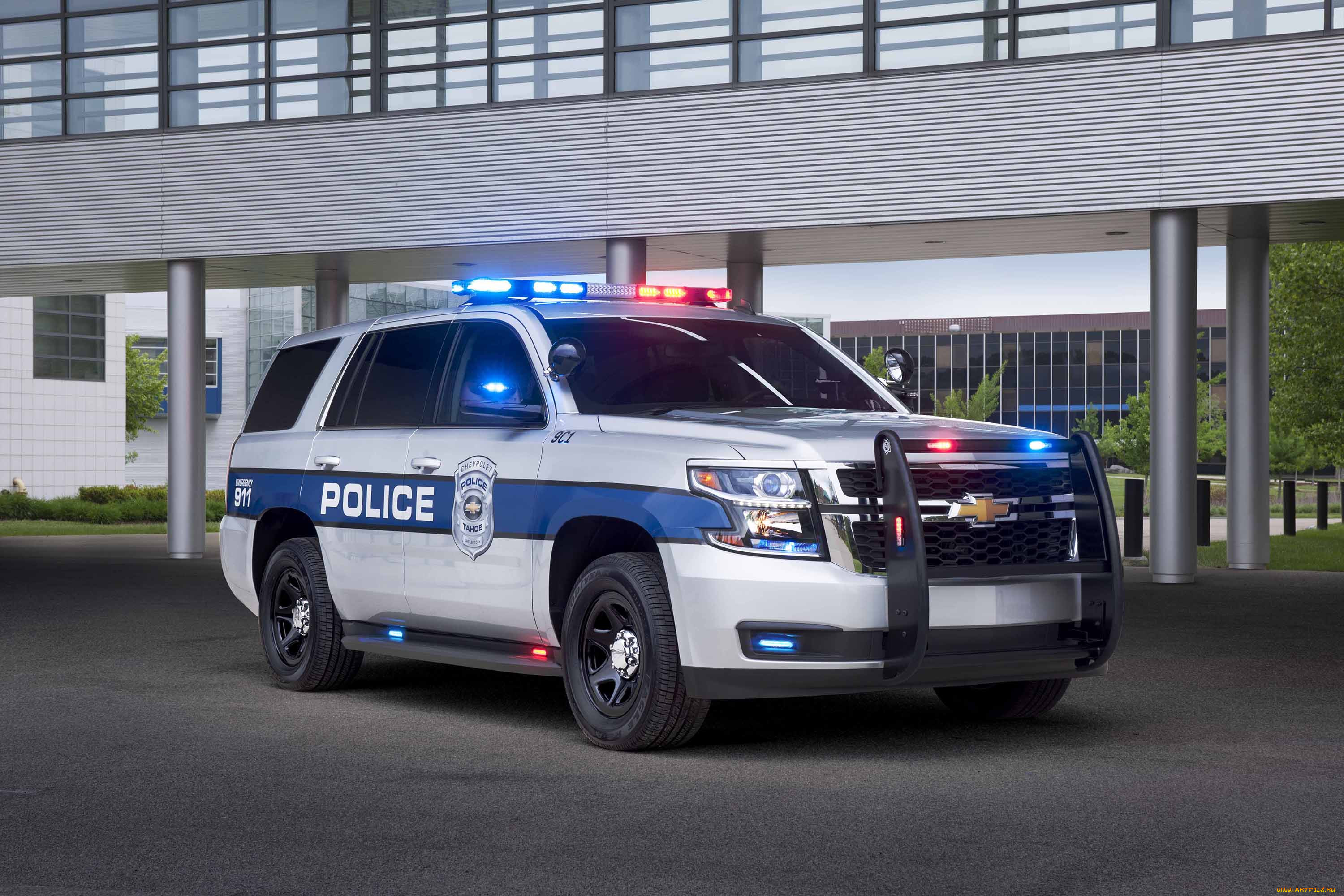 chevrolet tahoe ppv 2016, , chevrolet, ppv, 2016, tahoe